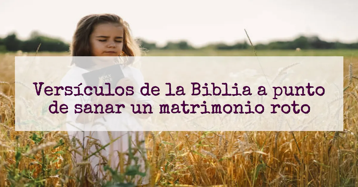Versículos de la Biblia a punto de sanar un matrimonio roto