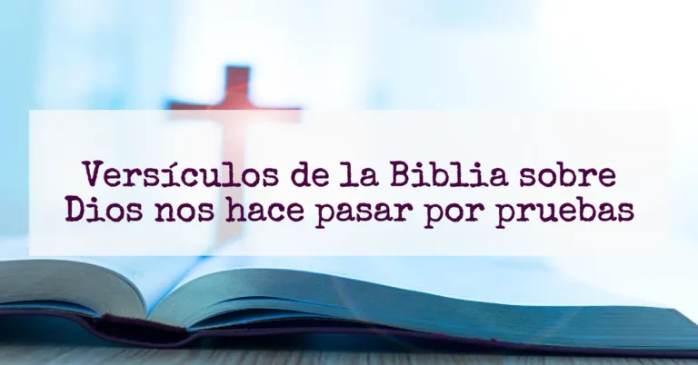 Versículos de la Biblia sobre Dios nos hace pasar por pruebas