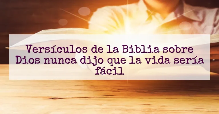 Versículos de la Biblia sobre Dios nunca dijo que la vida sería fácil