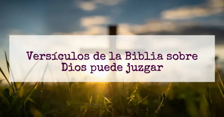 Versículos de la Biblia sobre Dios puede juzgar
