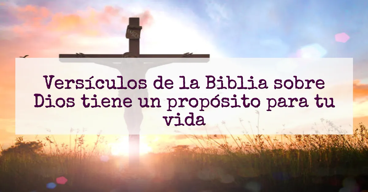 Versículos de la Biblia sobre Dios tiene un propósito para tu vida