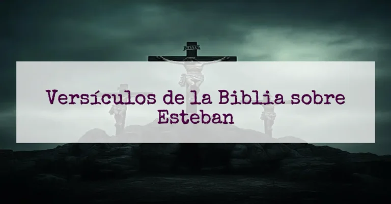 Versículos de la Biblia sobre Esteban