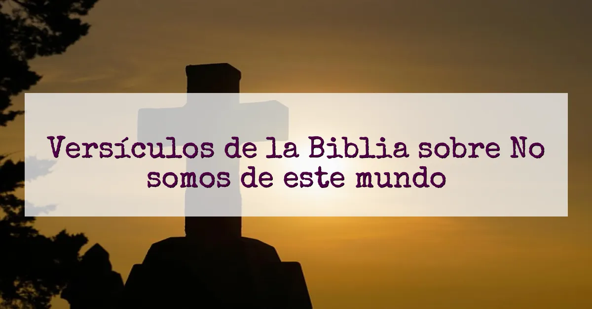 Versículos de la Biblia sobre No somos de este mundo