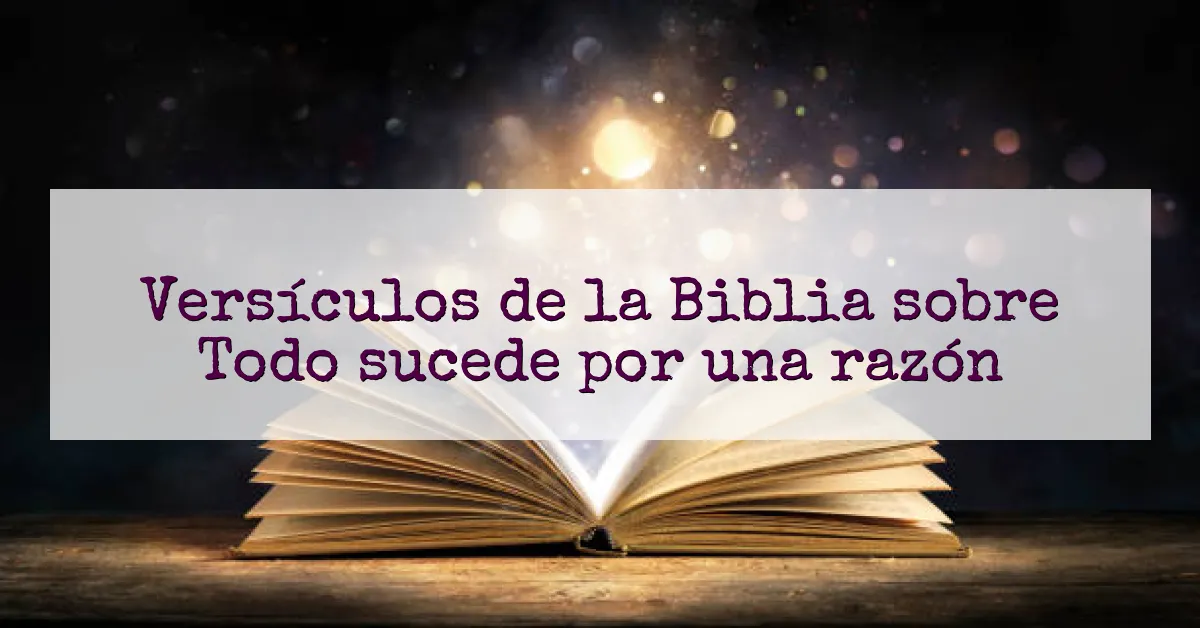 Versículos de la Biblia sobre Todo sucede por una razón