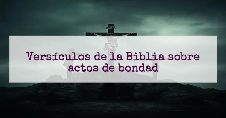 Versículos de la Biblia sobre actos de bondad