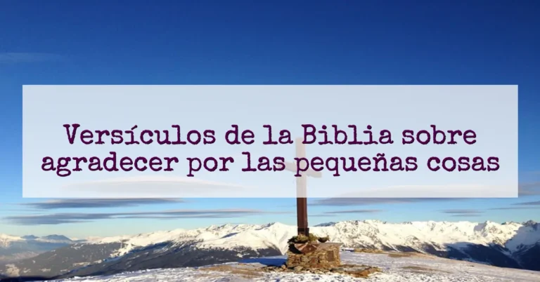 Versículos de la Biblia sobre agradecer por las pequeñas cosas