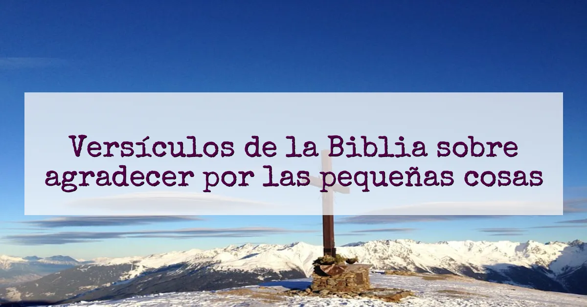 Versículos de la Biblia sobre agradecer por las pequeñas cosas