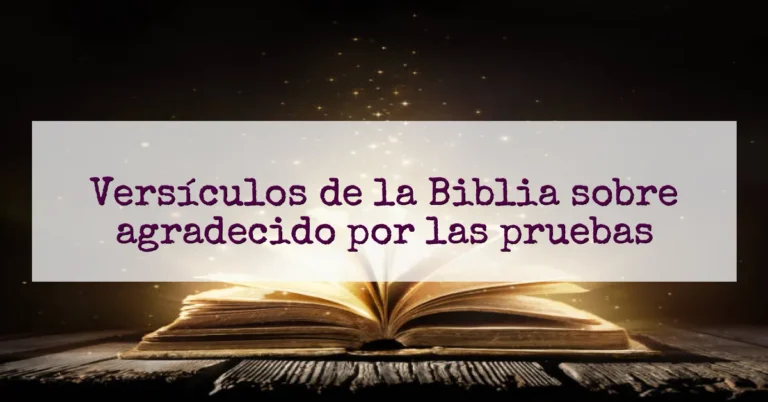 Versículos de la Biblia sobre agradecido por las pruebas