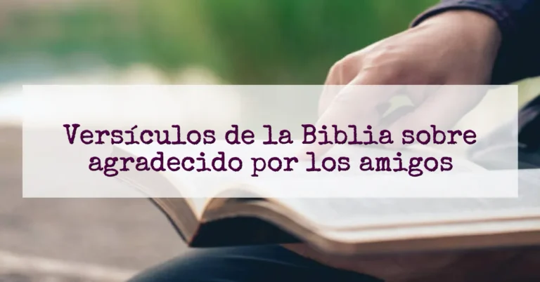 Versículos de la Biblia sobre agradecido por los amigos
