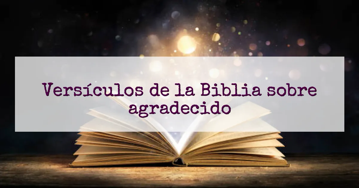 Versículos de la Biblia sobre agradecido