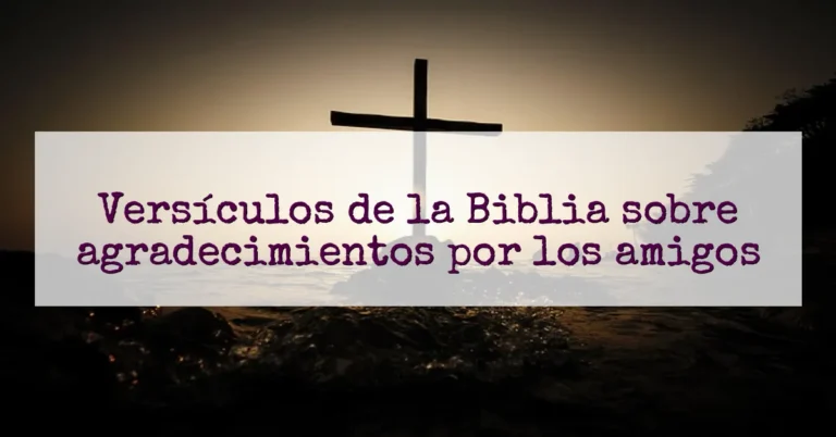 Versículos de la Biblia sobre agradecimientos por los amigos