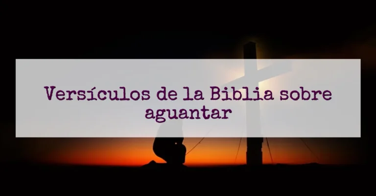 Versículos de la Biblia sobre aguantar