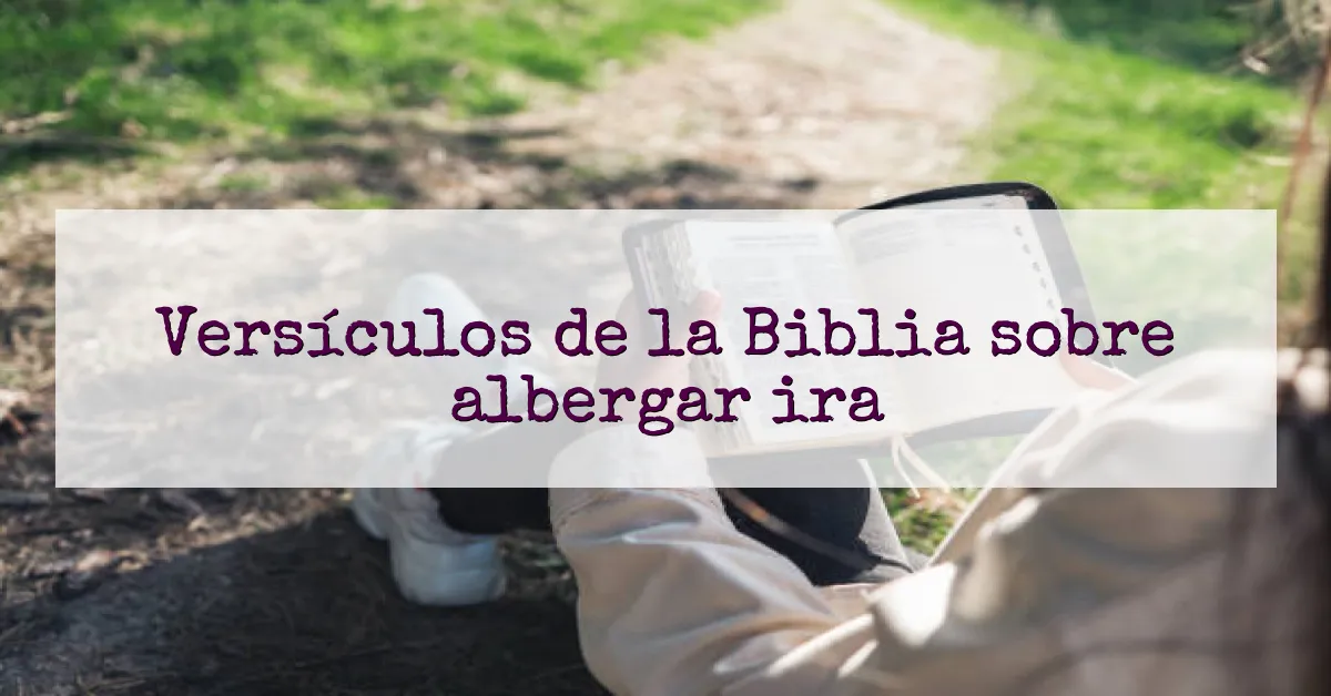 Versículos de la Biblia sobre albergar ira