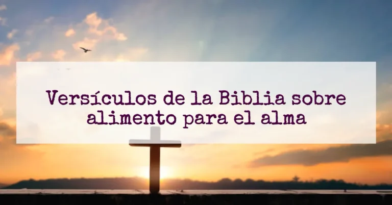 Versículos de la Biblia sobre alimento para el alma