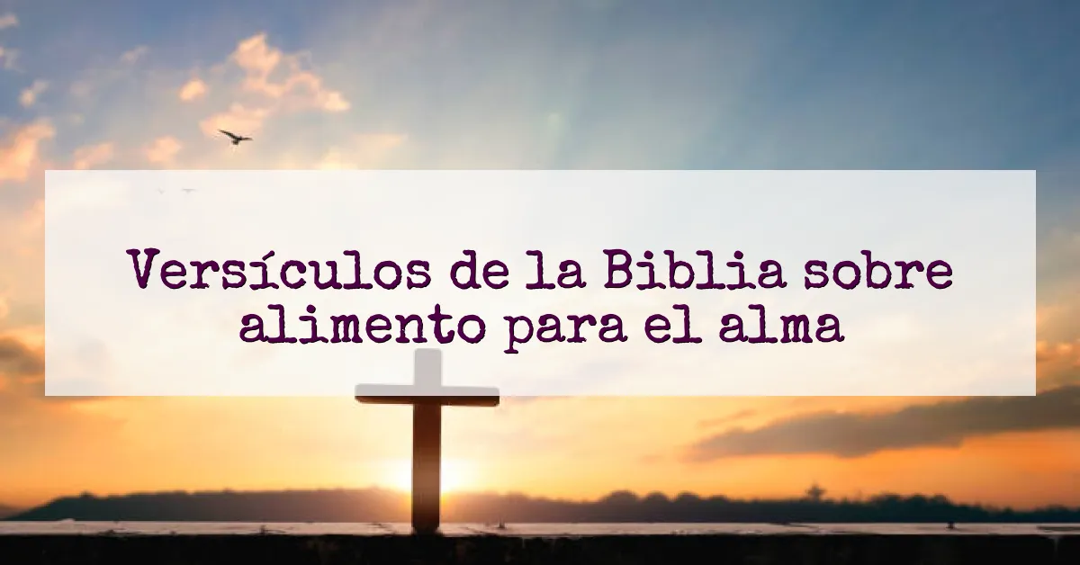Versículos de la Biblia sobre alimento para el alma