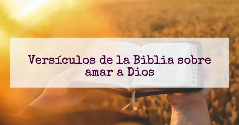 Versículos de la Biblia sobre amar a Dios