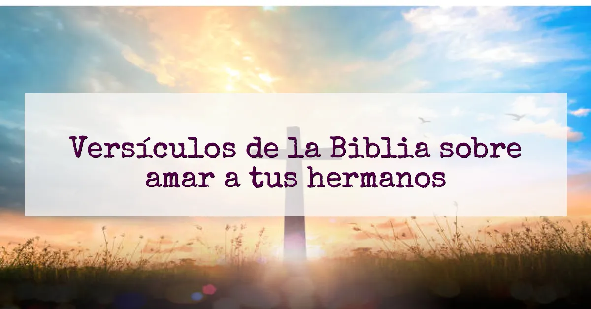 Versículos de la Biblia sobre amar a tus hermanos