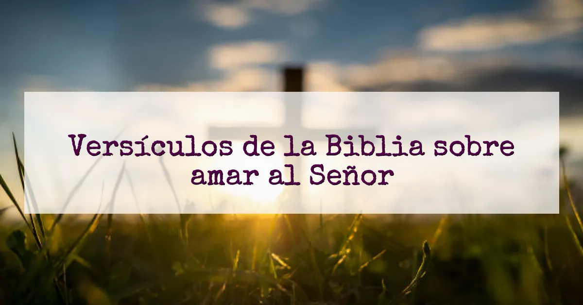 Versículos de la Biblia sobre amar al Señor