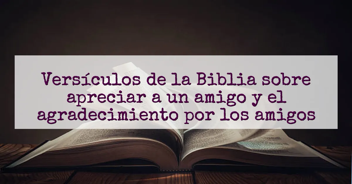 Versículos de la Biblia sobre apreciar a un amigo y el agradecimiento por los amigos
