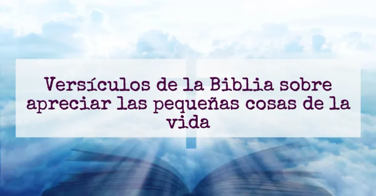 Versículos de la Biblia sobre apreciar las pequeñas cosas de la vida