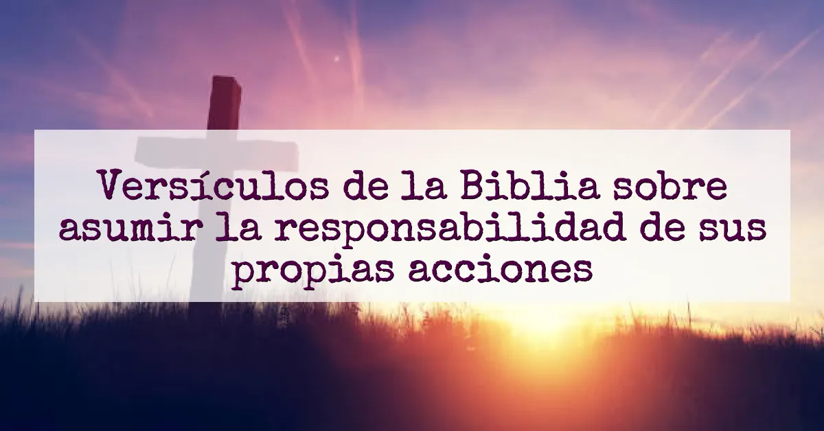 Versículos de la Biblia sobre asumir la responsabilidad de sus propias acciones