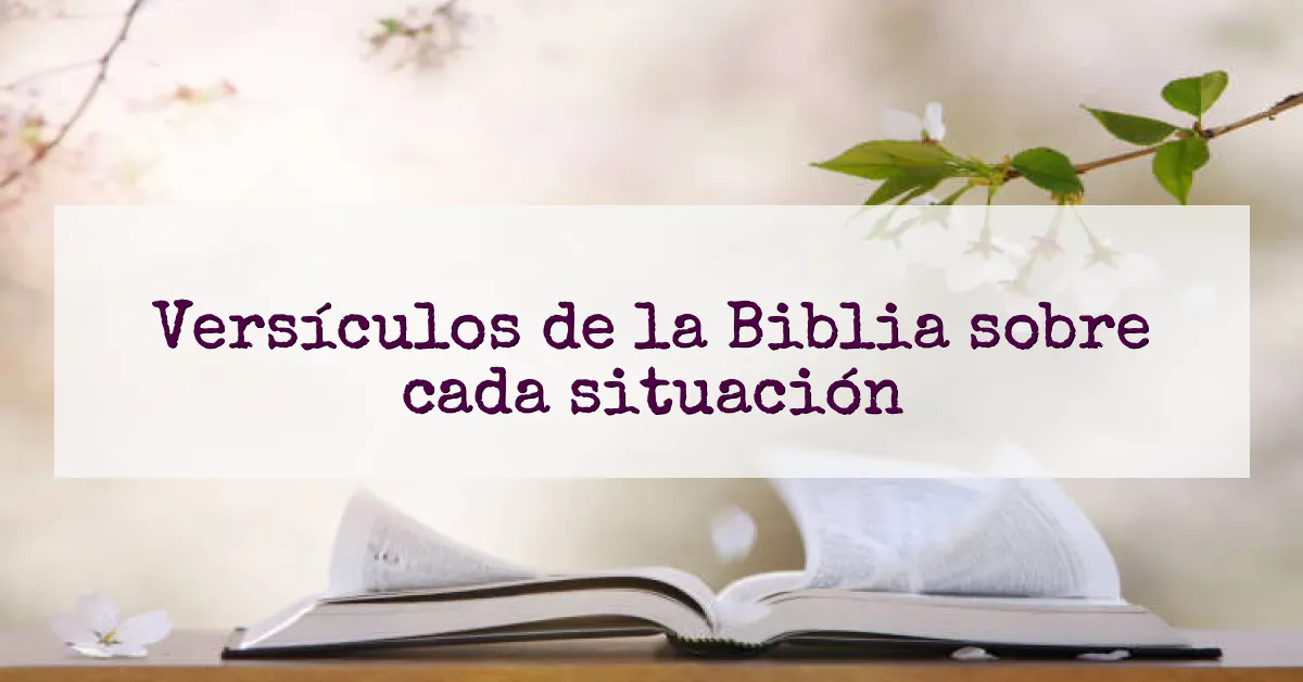 Versículos de la Biblia sobre cada situación