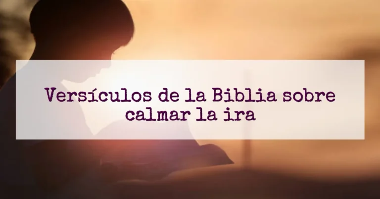 Versículos de la Biblia sobre calmar la ira
