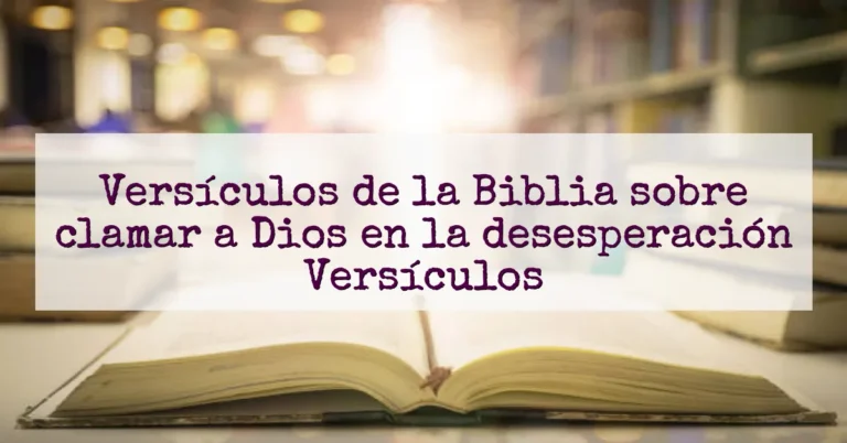Versículos de la Biblia sobre clamar a Dios en la desesperación Versículos