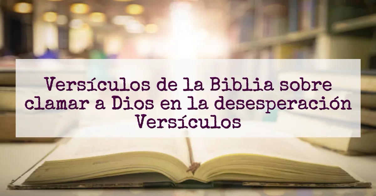 Versículos de la Biblia sobre clamar a Dios en la desesperación Versículos
