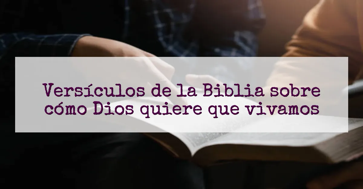 Versículos de la Biblia sobre cómo Dios quiere que vivamos