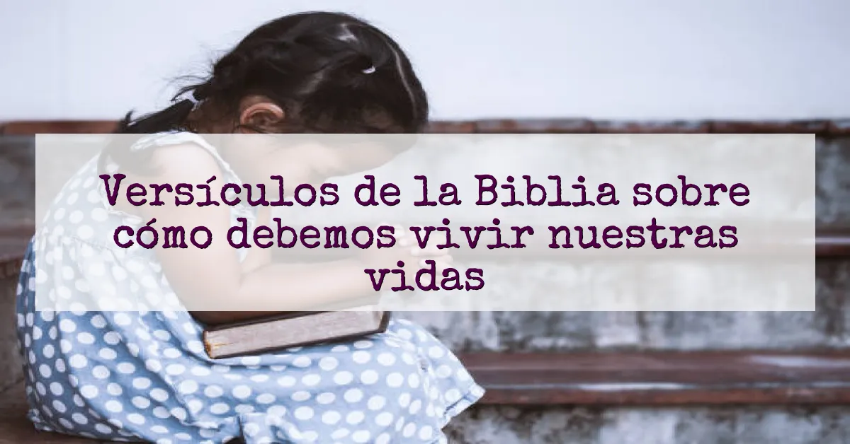 Versículos de la Biblia sobre cómo debemos vivir nuestras vidas