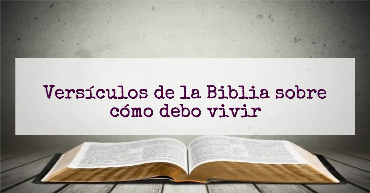 Versículos de la Biblia sobre cómo debo vivir
