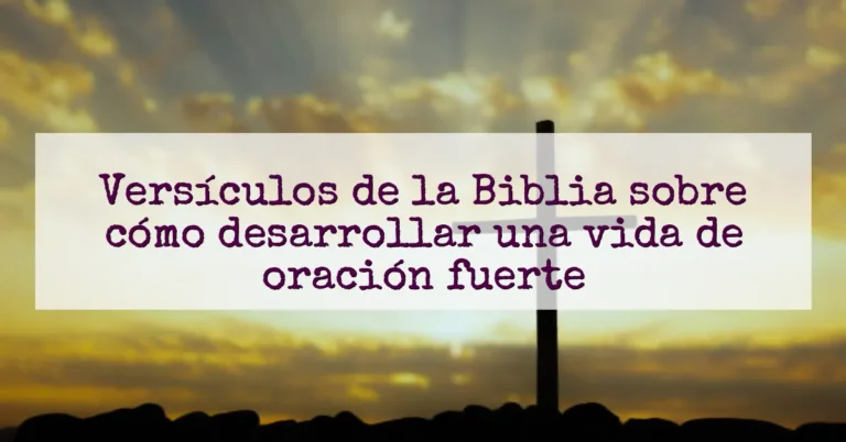 Versículos de la Biblia sobre cómo desarrollar una vida de oración fuerte
