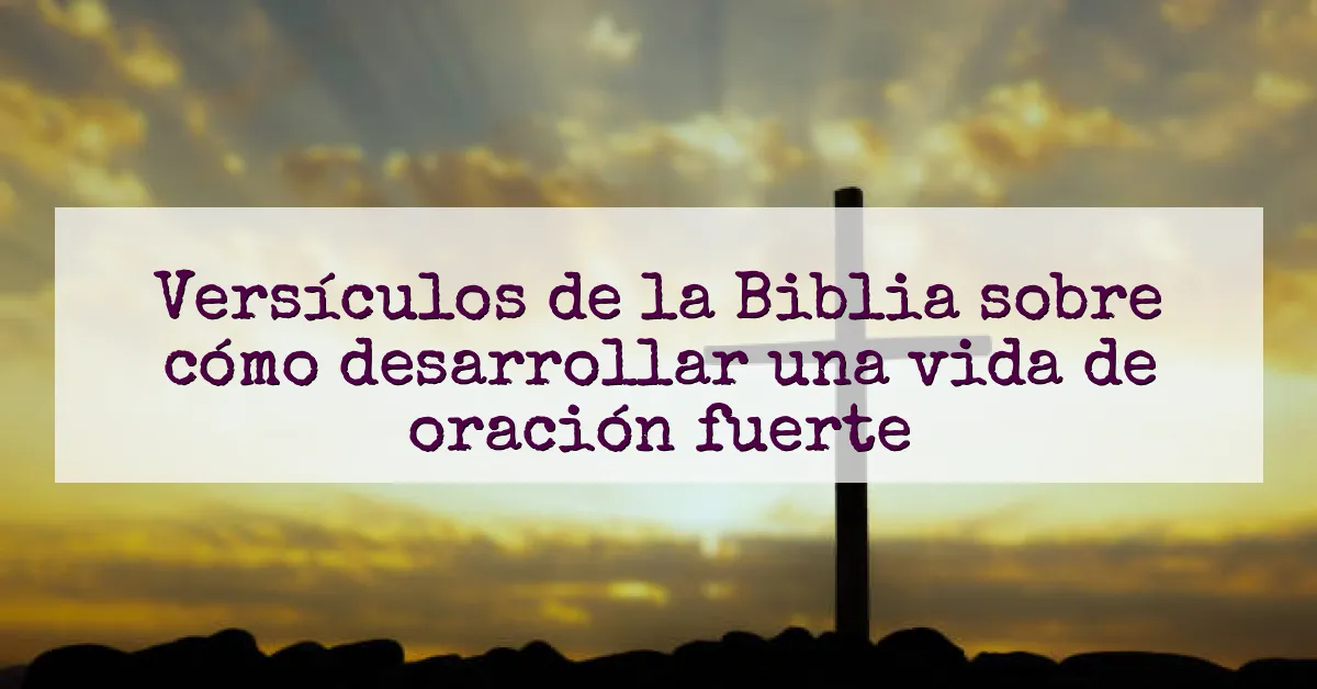 Versículos de la Biblia sobre cómo desarrollar una vida de oración fuerte
