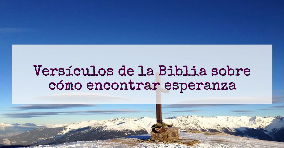 Versículos de la Biblia sobre cómo encontrar esperanza