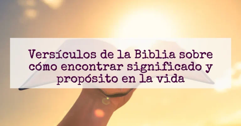 Versículos de la Biblia sobre cómo encontrar significado y propósito en la vida
