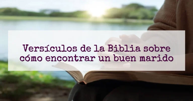 Versículos de la Biblia sobre cómo encontrar un buen marido