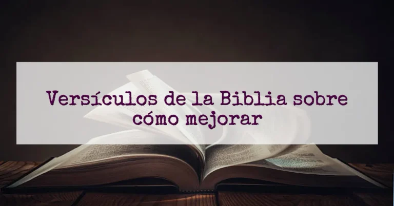 Versículos de la Biblia sobre cómo mejorar