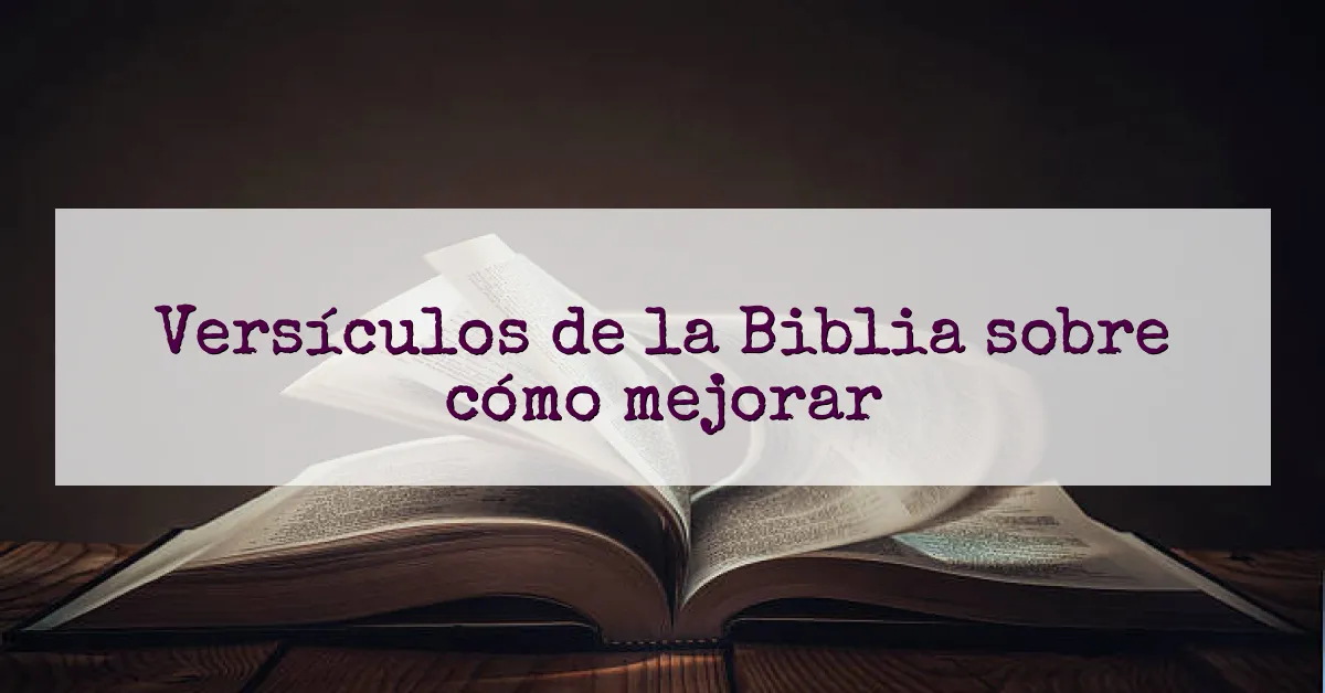 Versículos de la Biblia sobre cómo mejorar