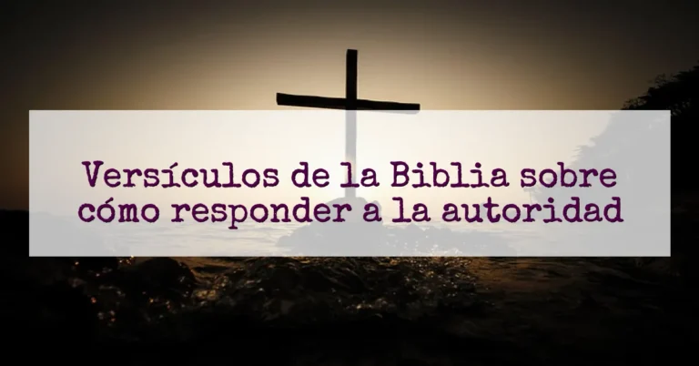 Versículos de la Biblia sobre cómo responder a la autoridad