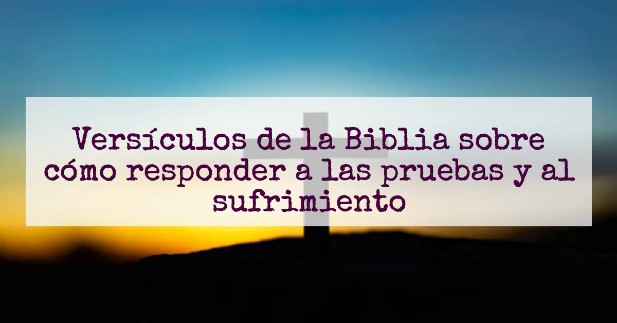 Versículos de la Biblia sobre cómo responder a las pruebas y al sufrimiento