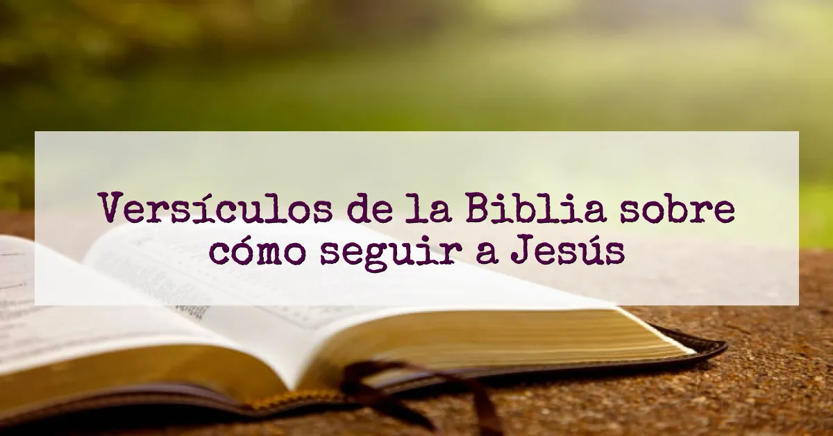 Versículos de la Biblia sobre cómo seguir a Jesús