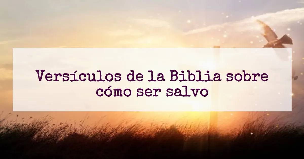 Versículos de la Biblia sobre cómo ser salvo