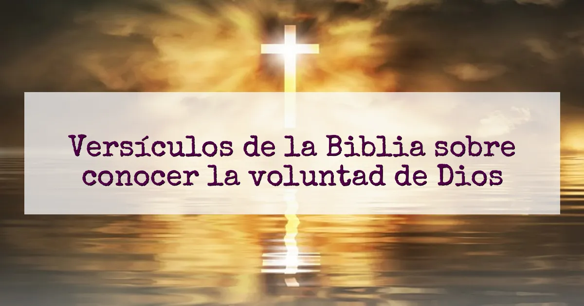 Versículos de la Biblia sobre conocer la voluntad de Dios