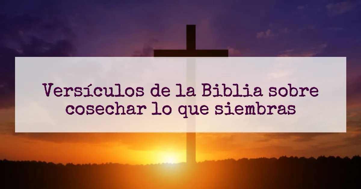 Versículos de la Biblia sobre cosechar lo que siembras