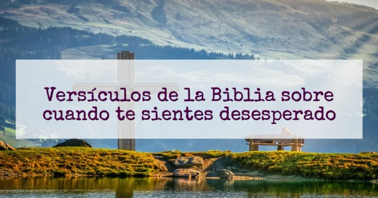 Versículos de la Biblia sobre cuando te sientes desesperado