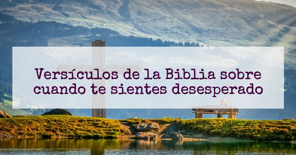 Versículos de la Biblia sobre cuando te sientes desesperado