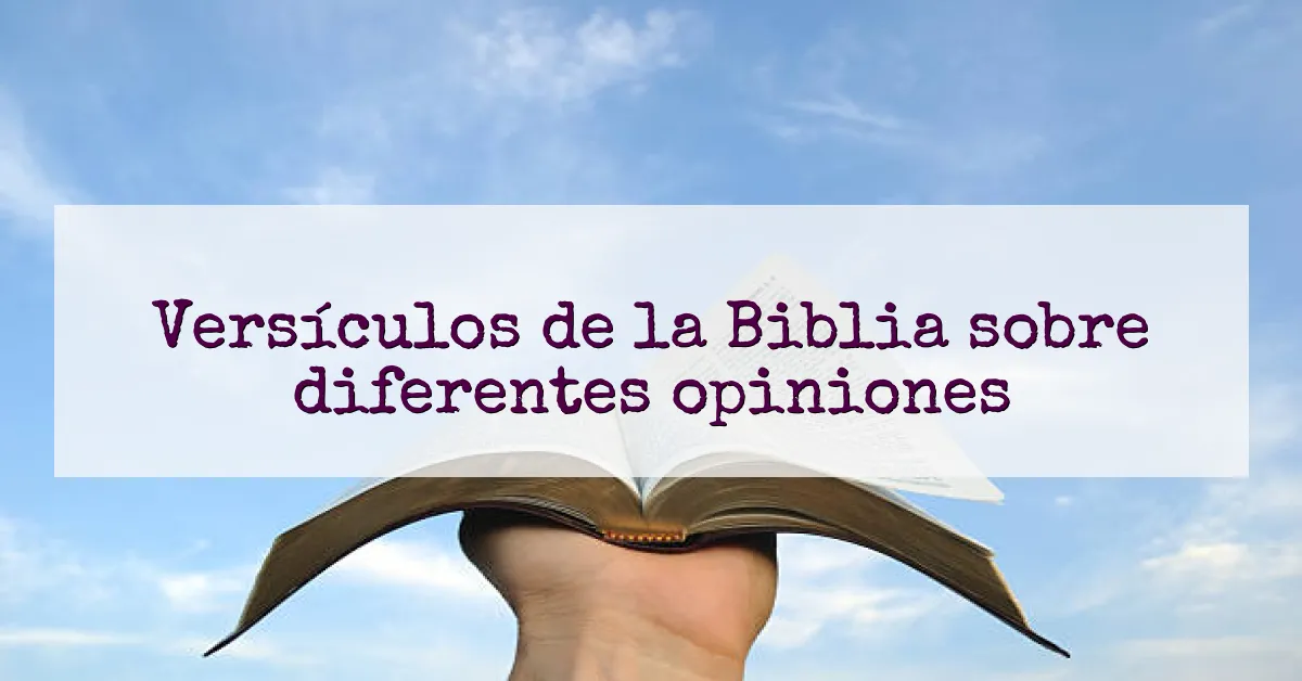 Versículos de la Biblia sobre diferentes opiniones