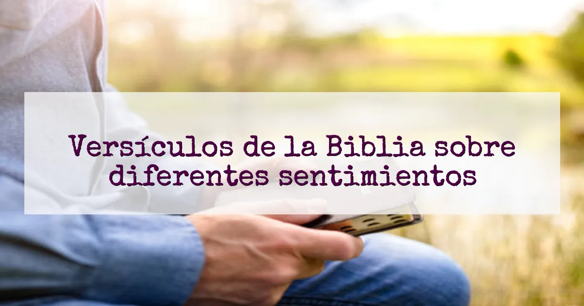 Versículos de la Biblia sobre diferentes sentimientos