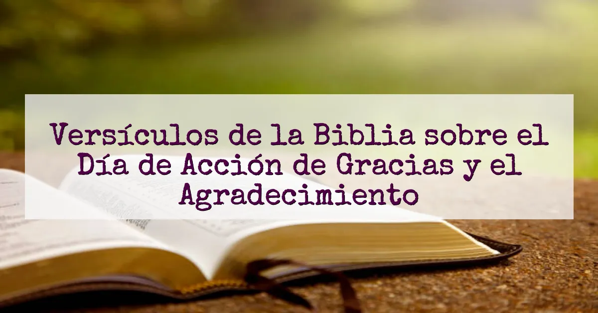 Versículos de la Biblia sobre el Día de Acción de Gracias y el Agradecimiento